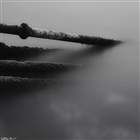dailyPhoto23